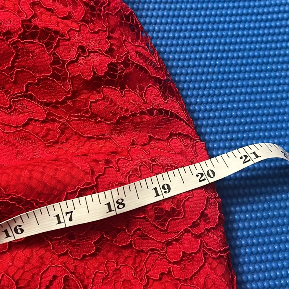 Adrianna Papell Illusions Lace Red Sheath Dress